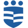 AIG Hospitals logo