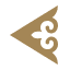 Air Astana India logo