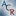 AnnualCreditReport logo