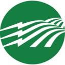 Arkansas Electric logo
