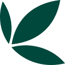 Bamboo logo