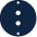BioIonic logo