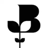 British Chambers of Commerce logo