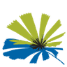 Cairns Region logo