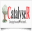 CatalyseR logo