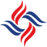 Chola MS General Insurance logo
