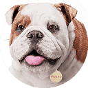 Churchill Insurance UK Portal logo