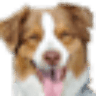 Coastal Pet logo