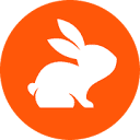 CodeRabbit South Africa logo