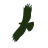 Eagle Creek Holding, LLC logo