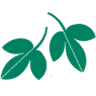 East Renfrewshire Council logo