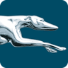 Greyhound Bus Lines logo