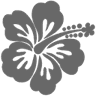 Hawaii Department of Taxation logo