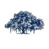 IIIT Hyderabad logo
