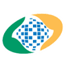 INSS logo