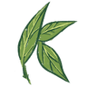 Kats Botanicals US logo