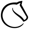 Lichess logo