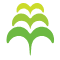 Ministry for Pacific Peoples logo
