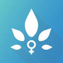 Nabta Health UAE logo