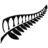New Zealand Companies Office logo