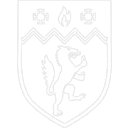 Newman University logo