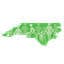 North Carolina Council on Developmental Disabilities logo