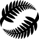 NZ Football App logo