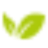 Pure Harvest UAE App logo