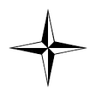 Stone Island logo